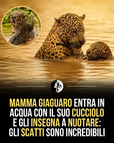 Buone notizie